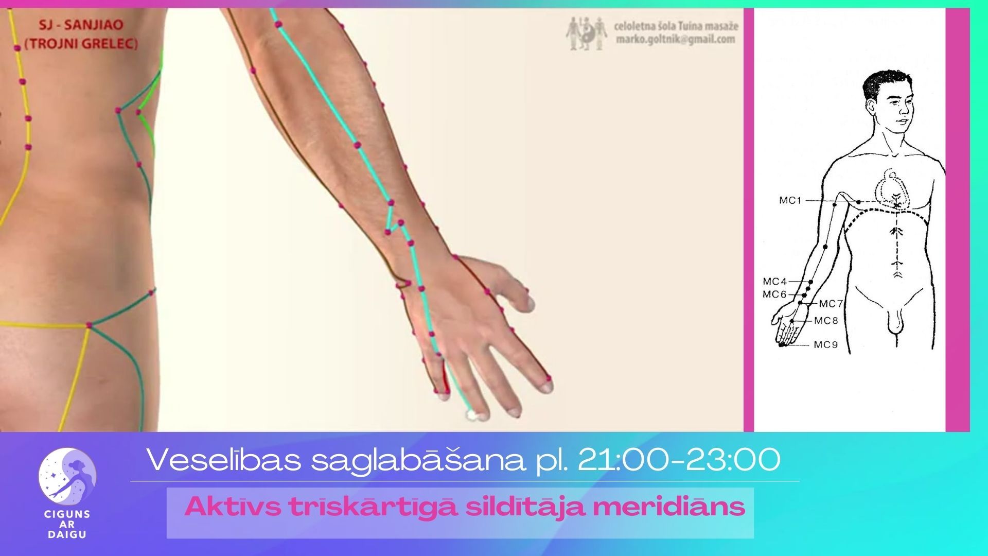 meridiāni, enerģija, enerģijas plūsma ķermenī, ciguns ar daigu, cigun, taidzi, diennakts cikls