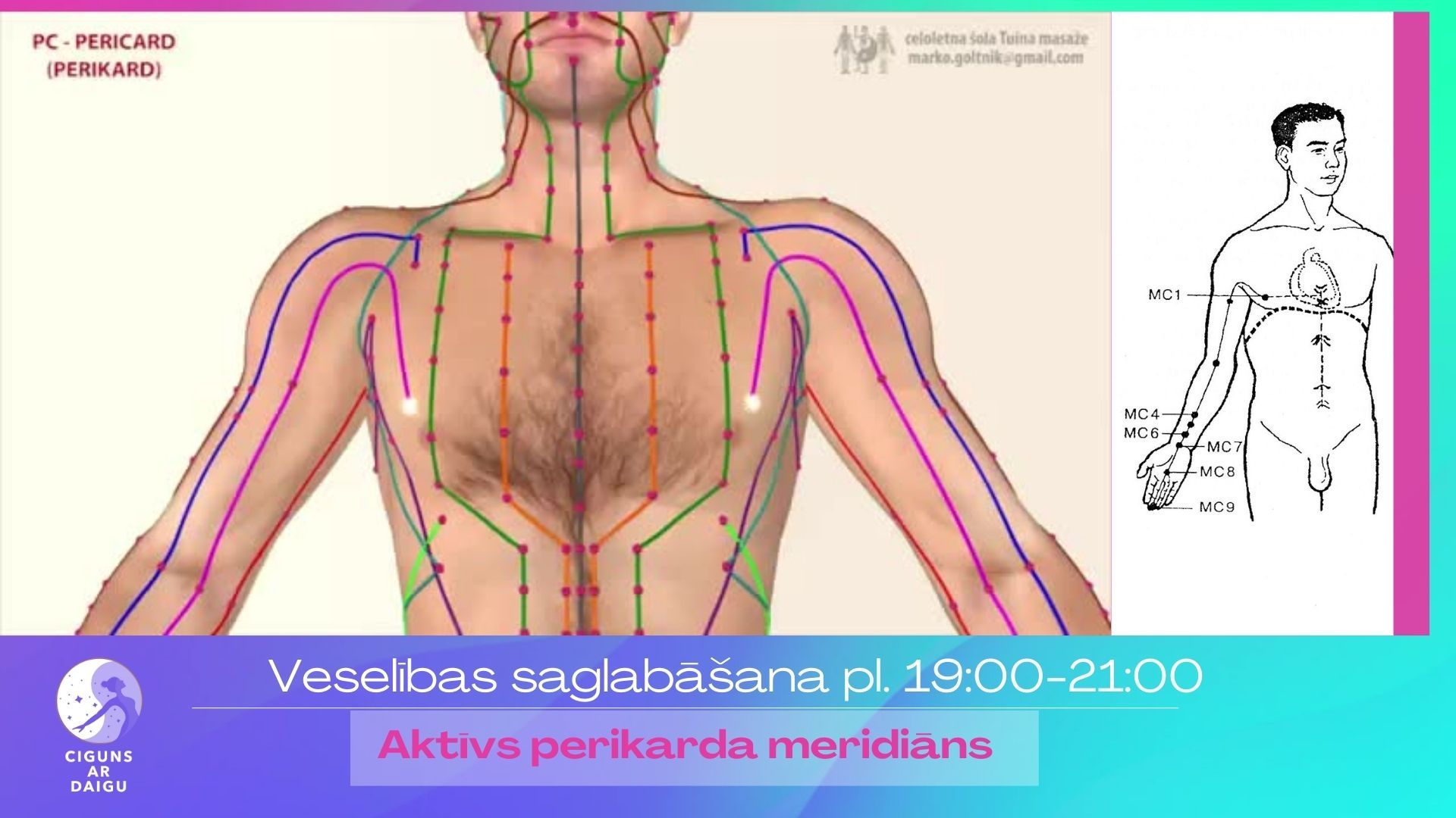 perikards, perikarda meridiāns, meridiāni, enerģijas plūsma ķermenī, cigun, ciguns, ciguns ar daigu