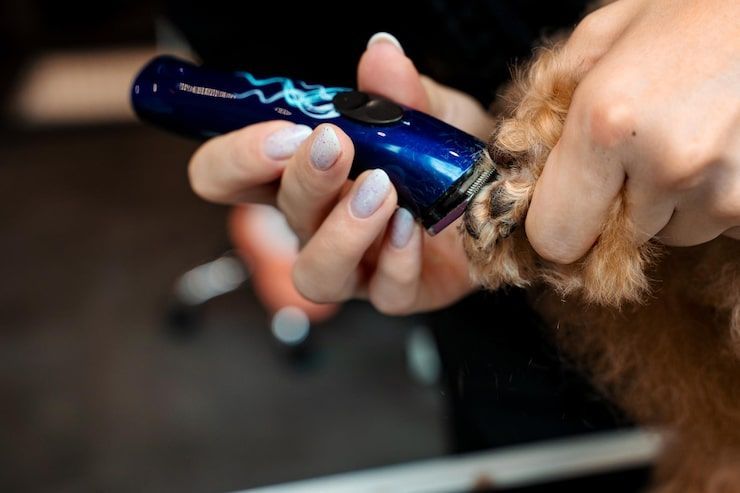 Hand holding blue electric trimmer shaving brown fur on a pet