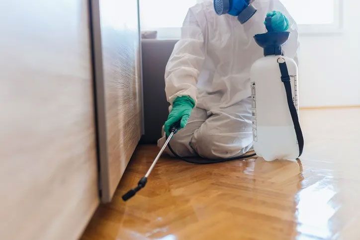 pest control technician spraying along base of floor