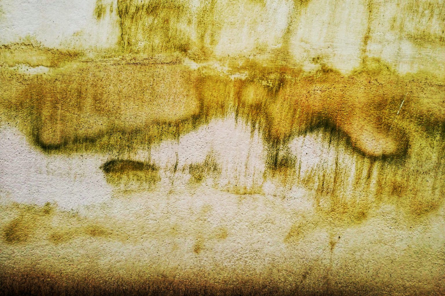 moisture stains on wall