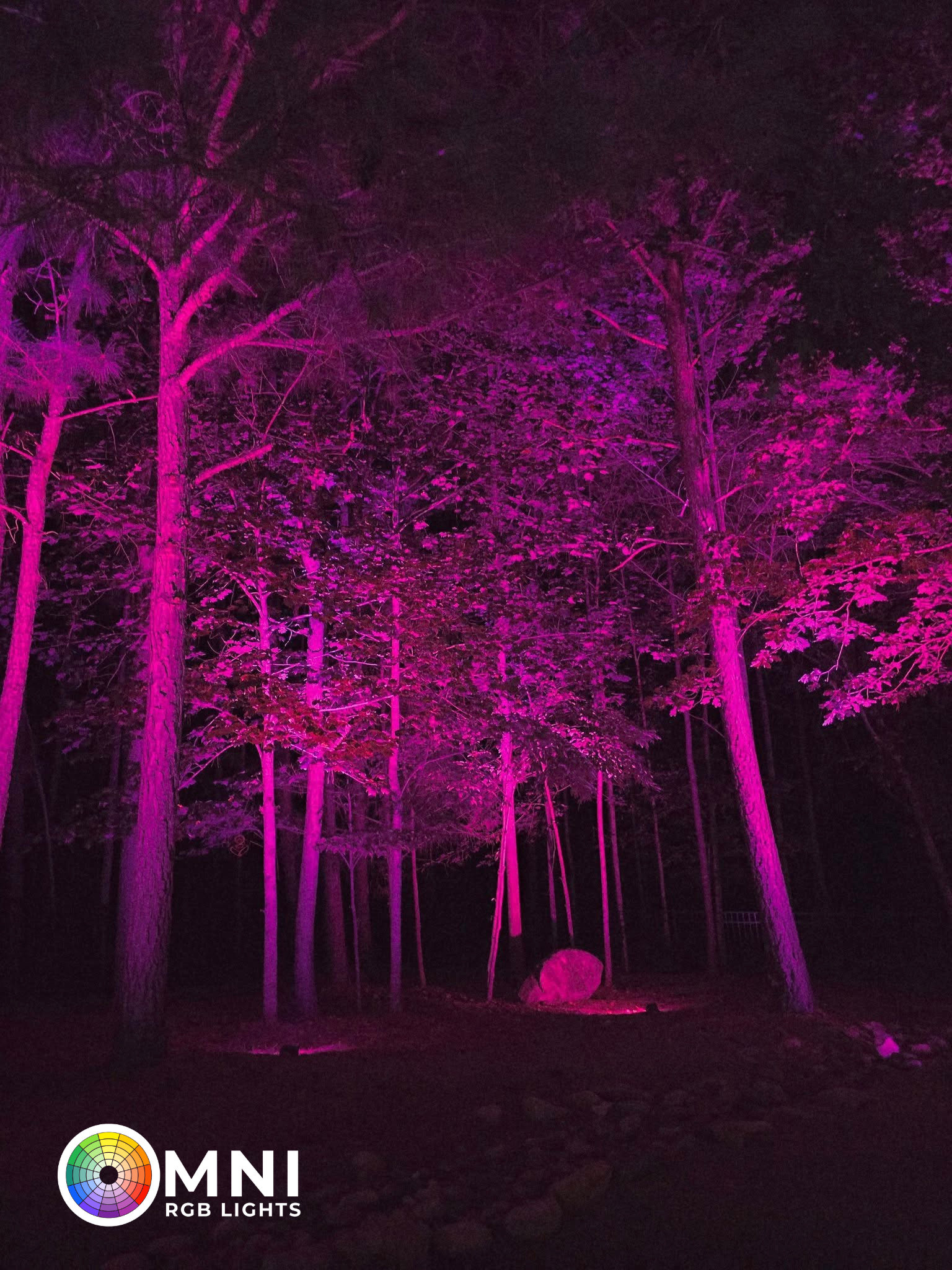 Night forest lit in vivid magenta, with tall trees silhouetted against a dark background.