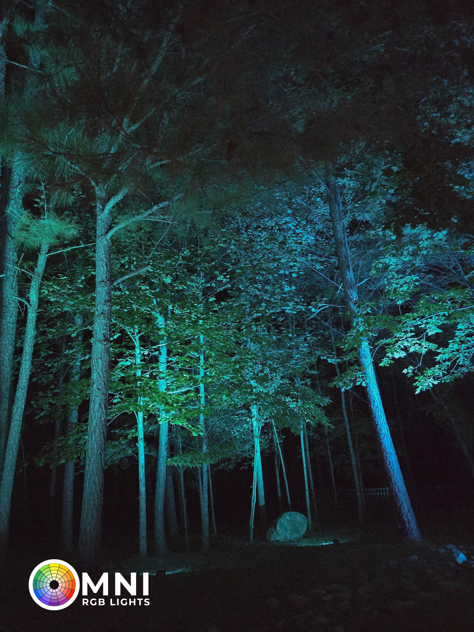 Night forest scene lit in blue-green, with tall trees and a small MNI logo at bottom left
