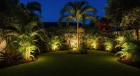 Lit tropical garden at night with palm trees, manicured lawn, and warm landscape lighting.