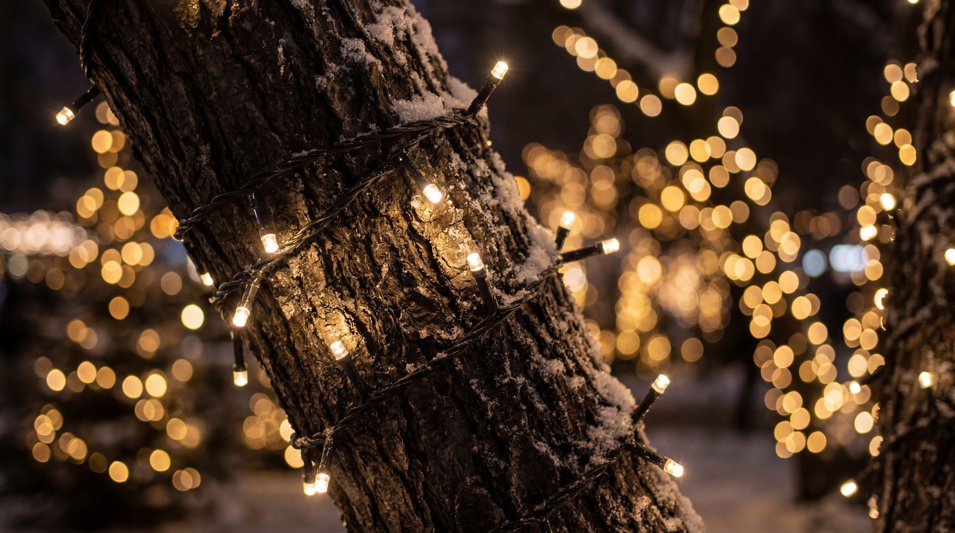 Tree trunk wrapped with warm white string lights against a blurred background of glowing lights