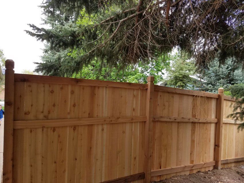 Wooden privacy fence under tree branches.