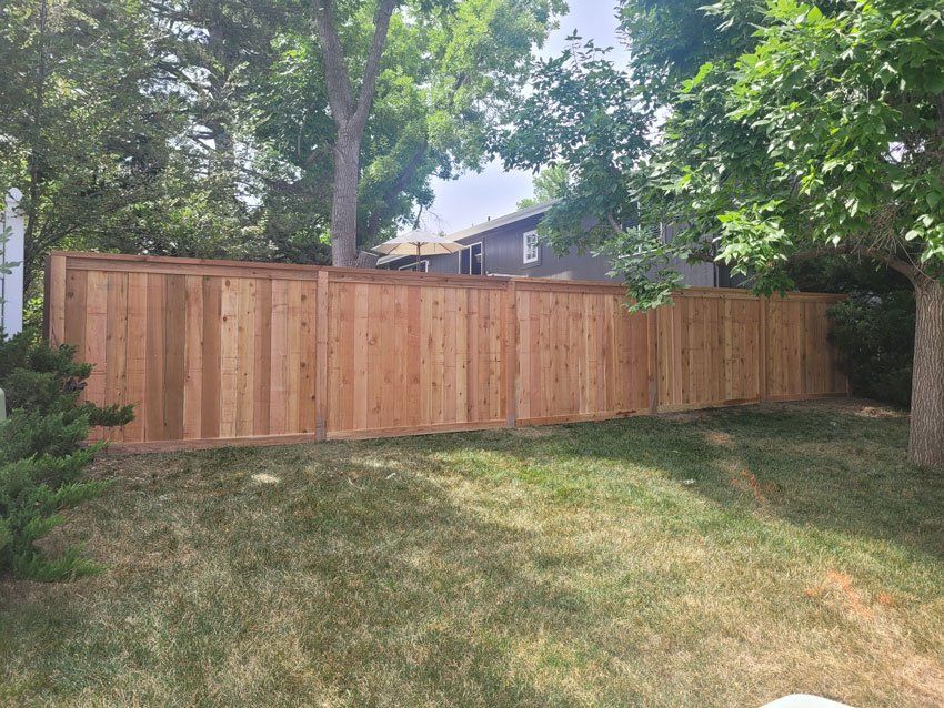 Wooden privacy fence in a grassy yard, surrounded by trees.