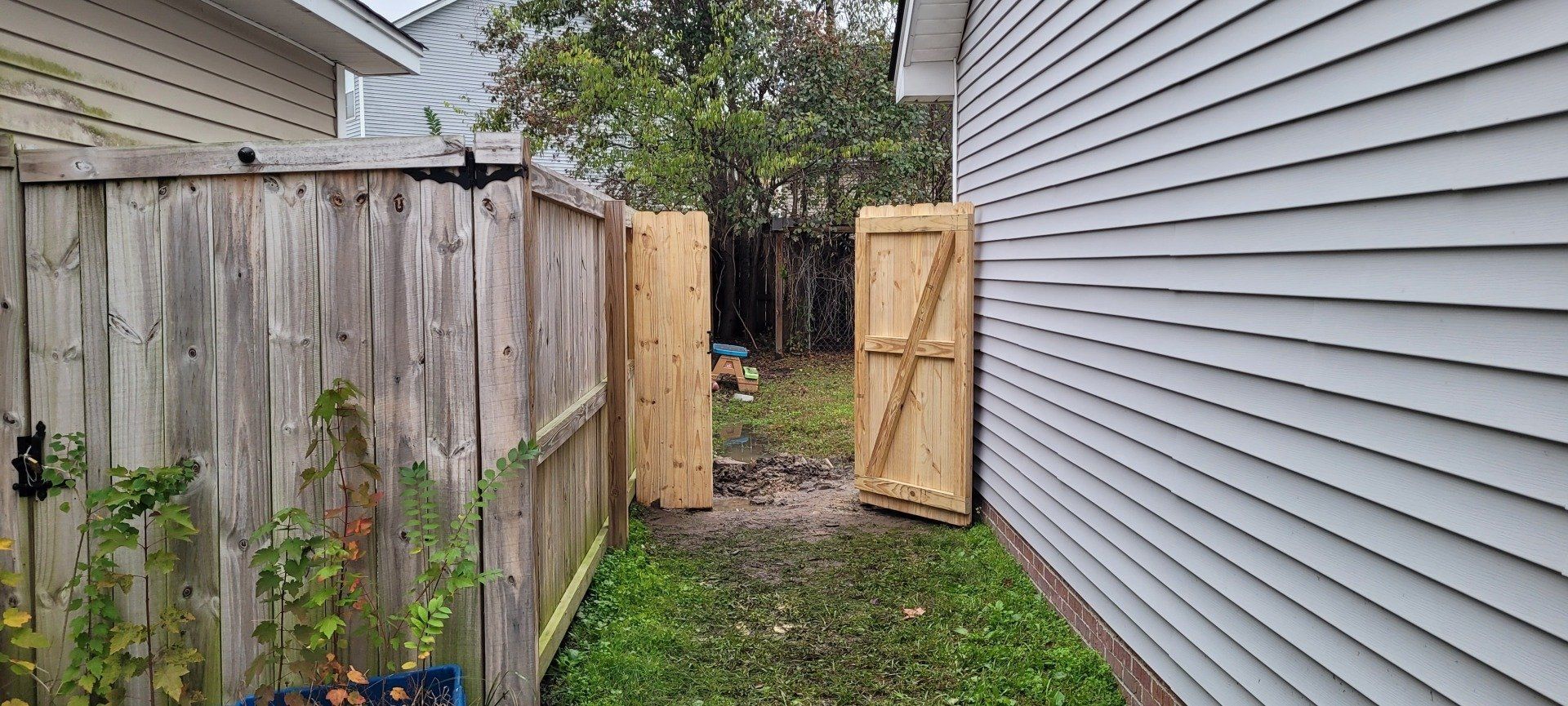 Wooden fence with new gate, opening to a yard between two houses.