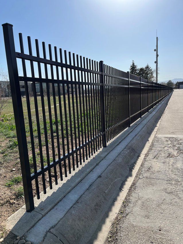 Black metal fence along a concrete curb, sunny day.