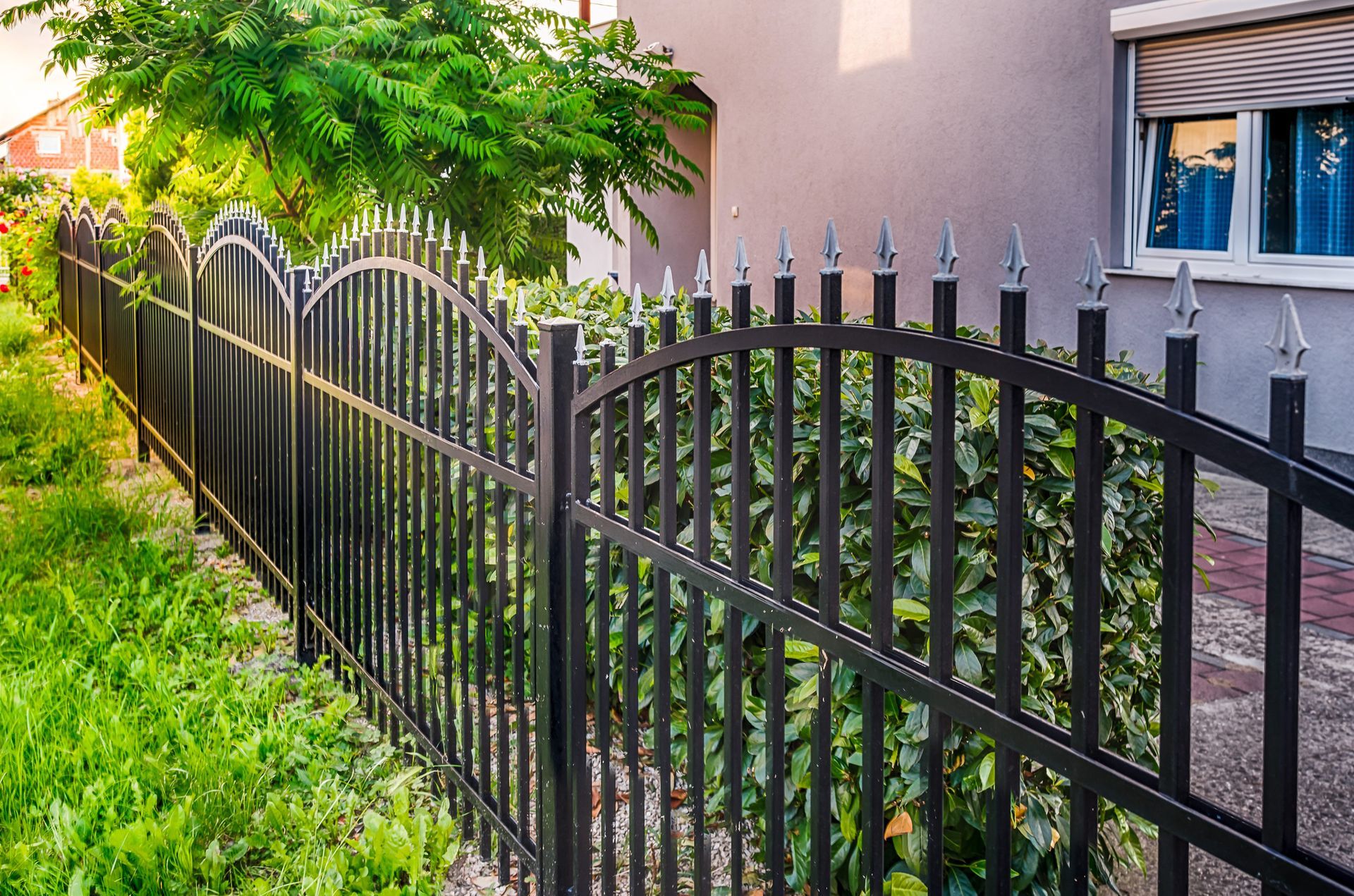 Black wrought iron fence with arched top and spear finials, bordering a yard with green grass and foliage.