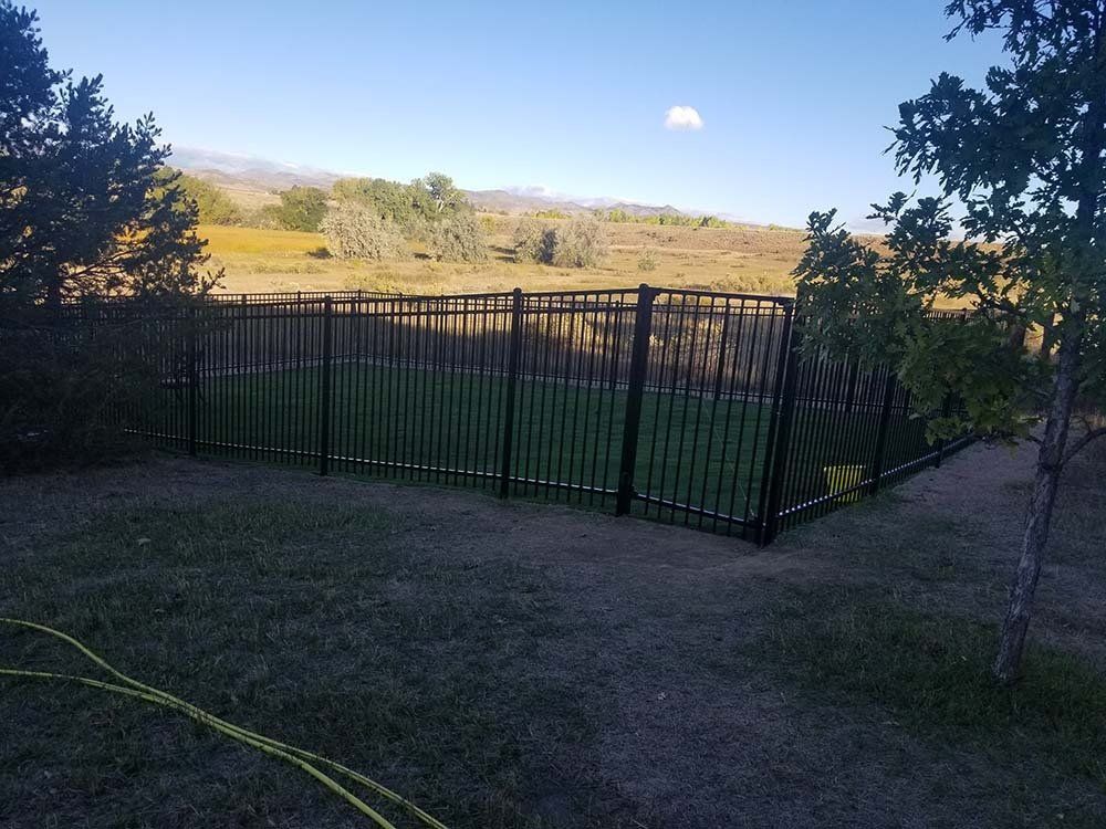 Black metal fence surrounds a grassy area, with trees and hills in the background under a blue sky.