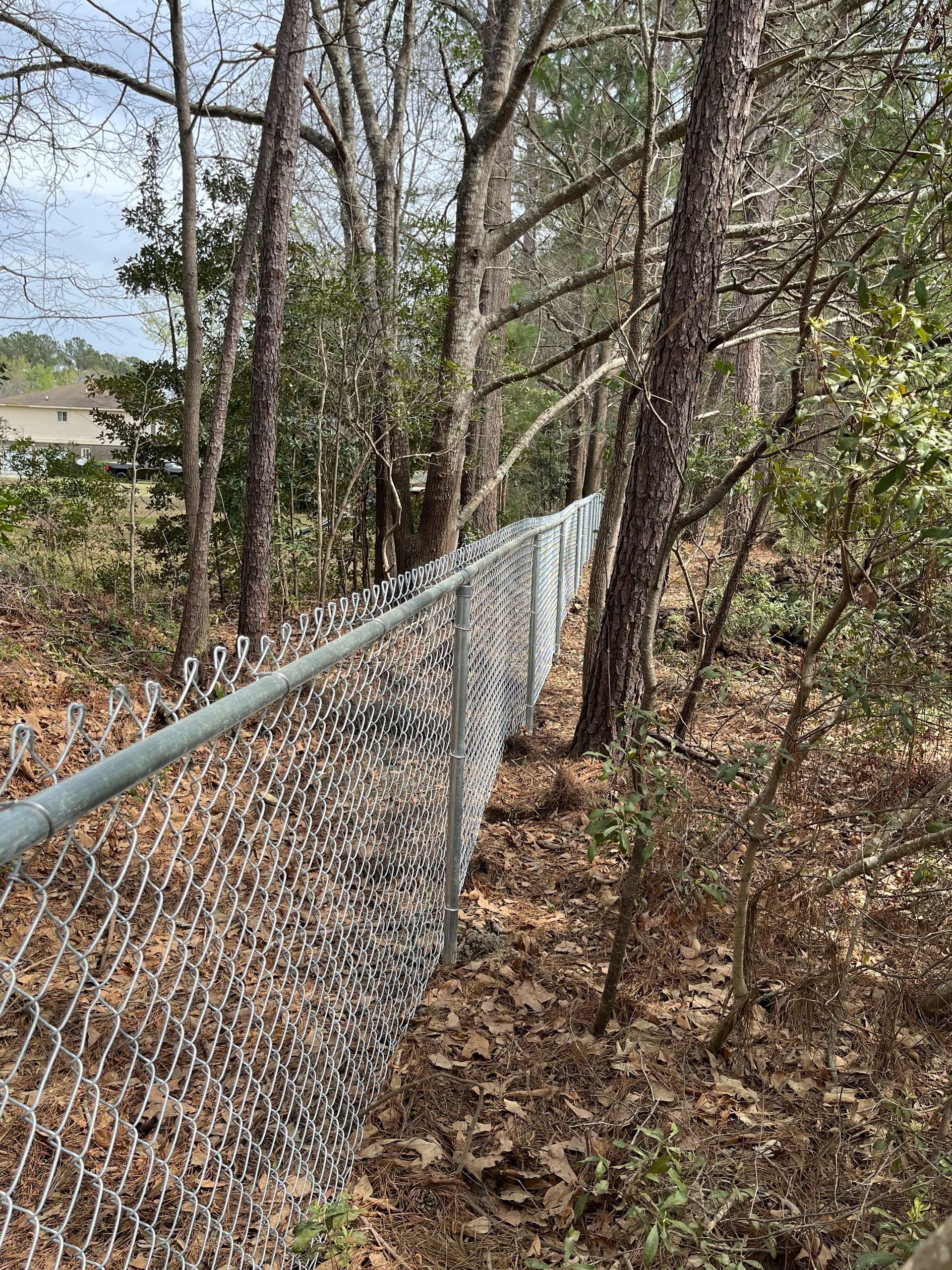Chain-link fence running along a wooded area with trees and fallen leaves on the ground.