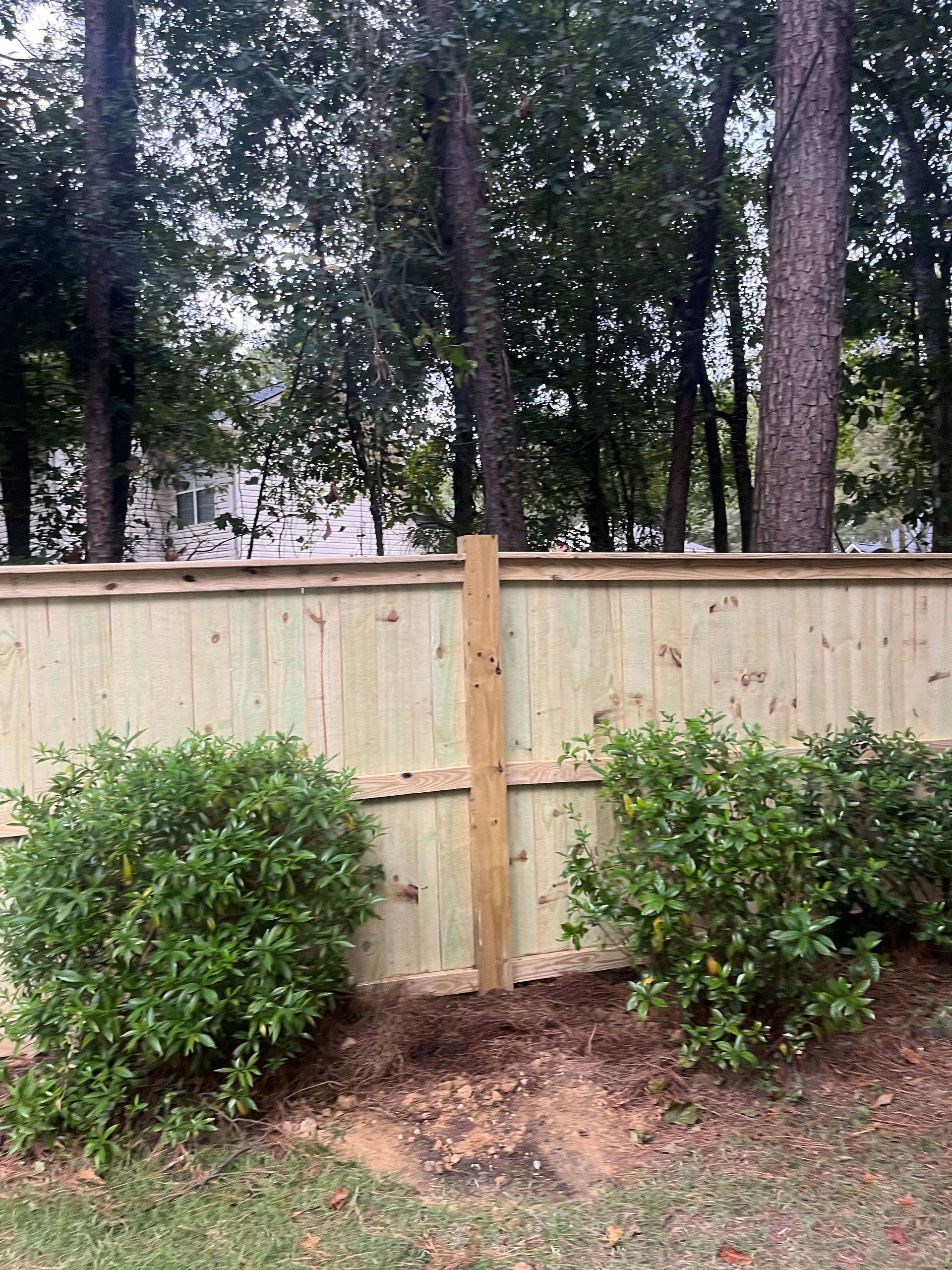 Wooden fence with a vertical post, surrounded by bushes and trees.