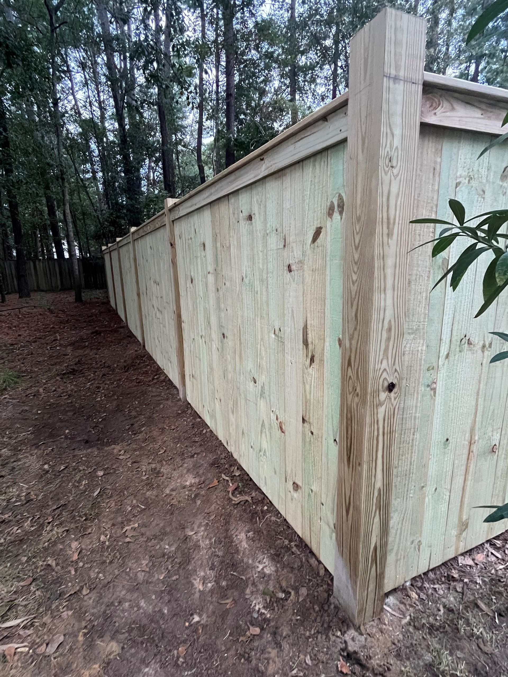 Wooden fence in a wooded area; vertical planks and large support posts; green-toned wood.