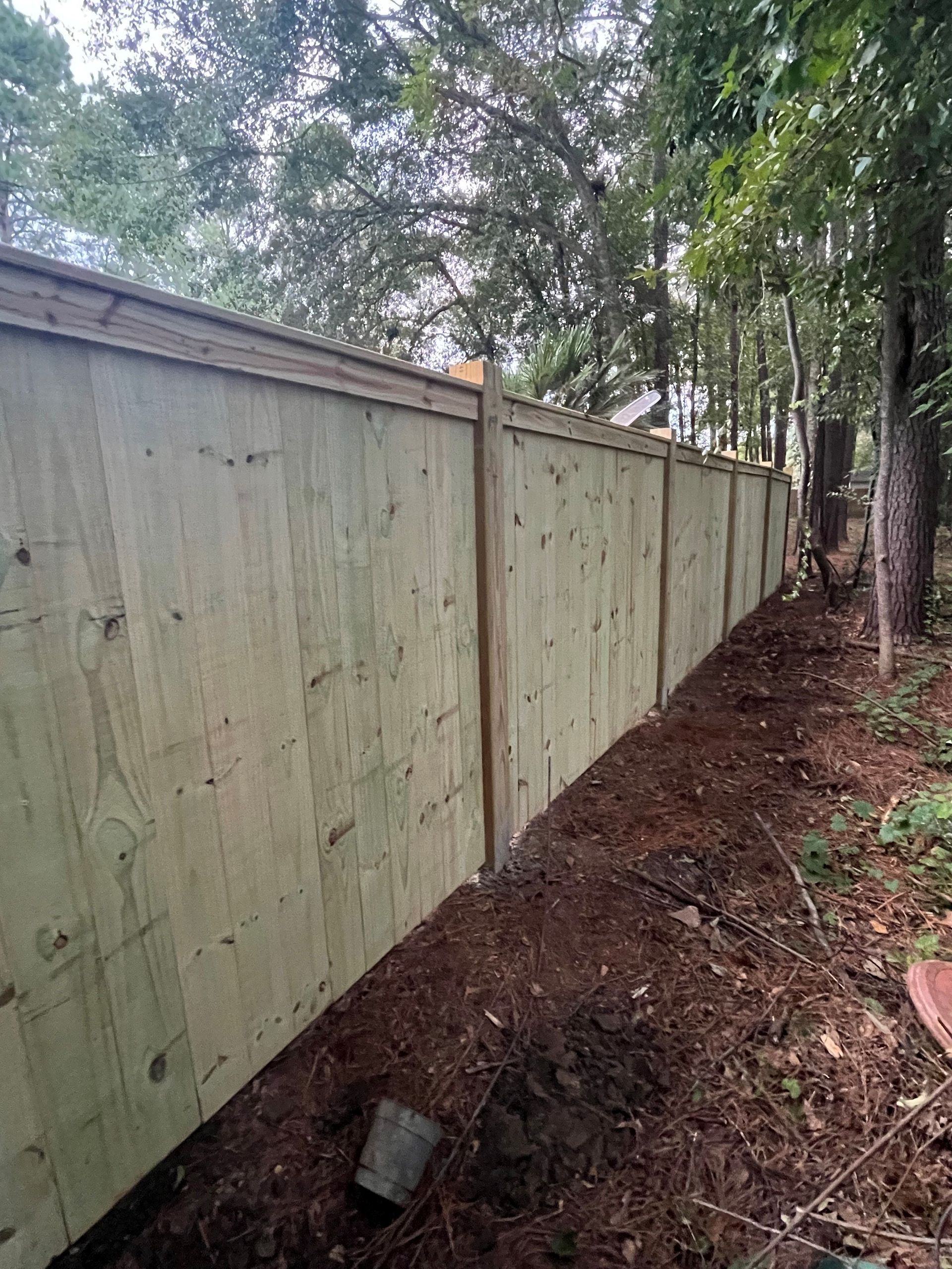 Wooden fence with brown ground, trees, and sky.
