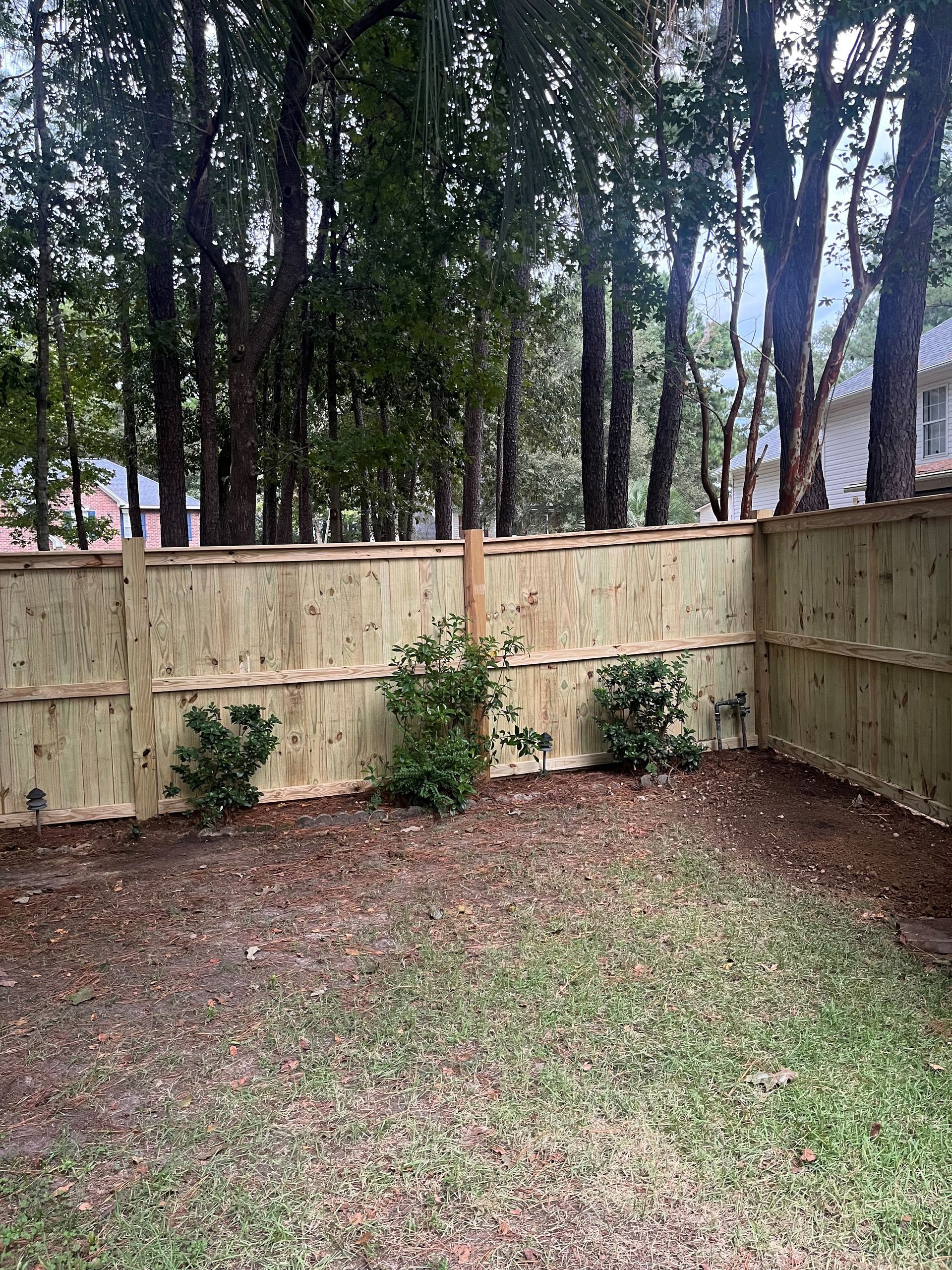 Wooden fence encloses a backyard with small bushes and trees.