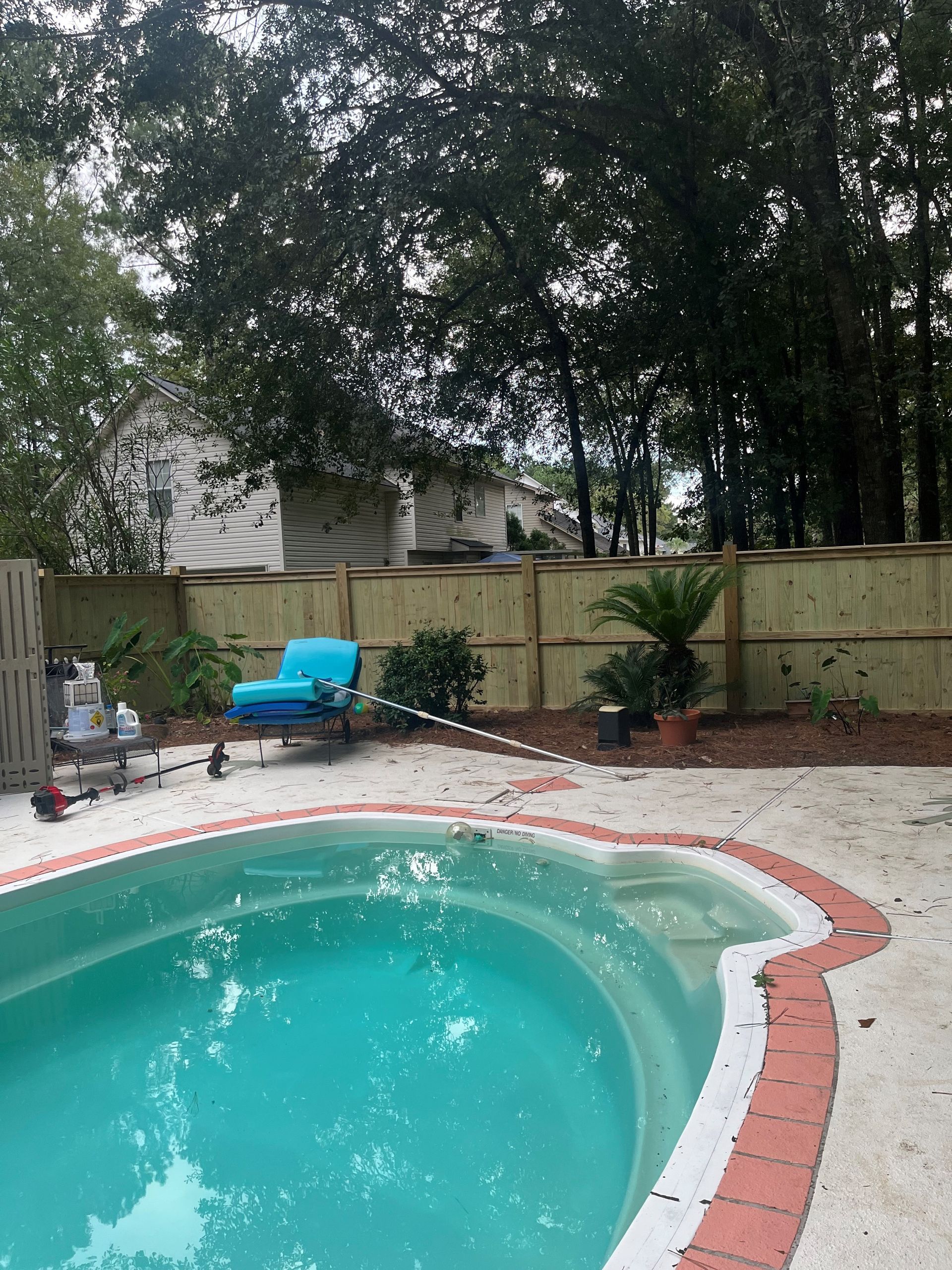 Backyard with pool, new wooden fence, blue lounge chair, trees and vegetation.