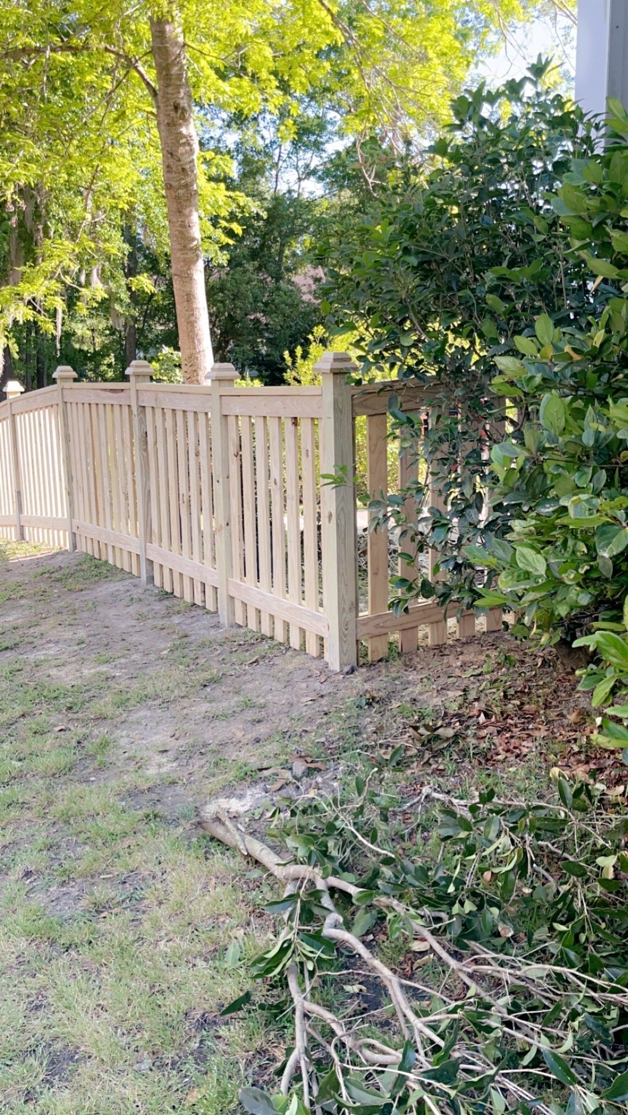 Wooden picket fence in a yard, overgrown with greenery. Tree in the background.