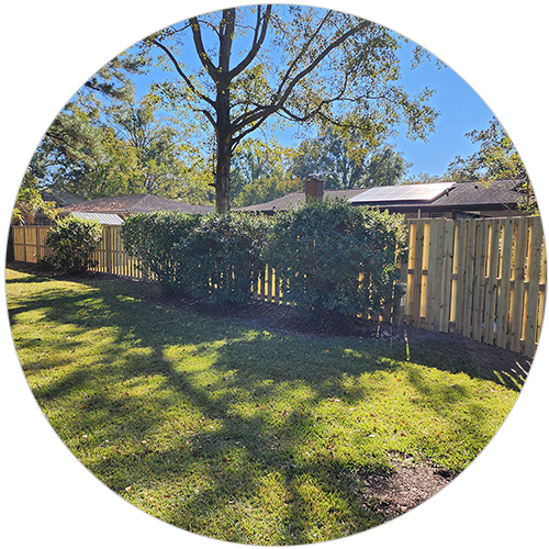 Lawn with fence and shrubbery in front of houses with visible solar panels under a clear sky.