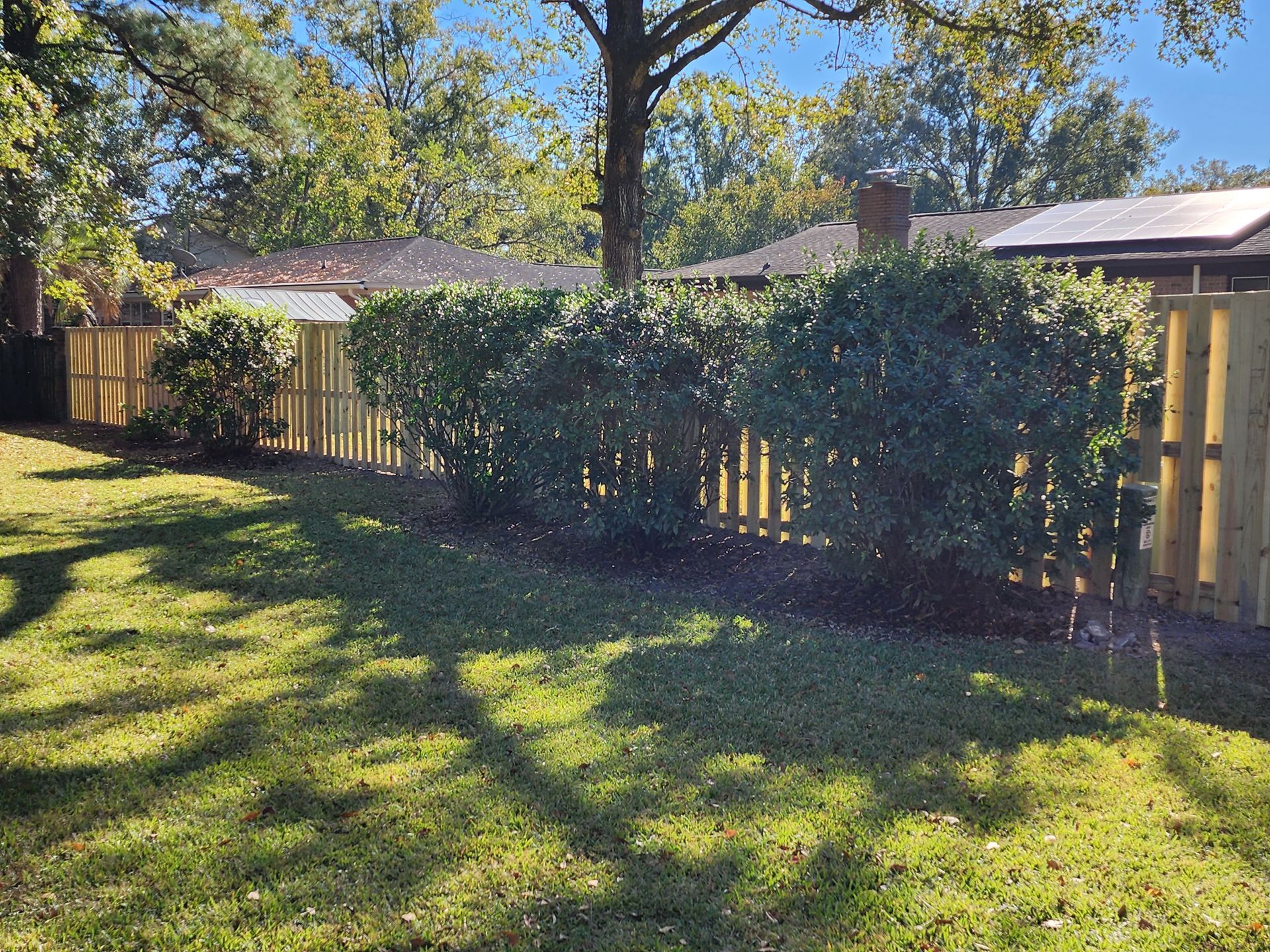 Wooden fence with green bushes in front, on a grassy lawn with trees in the background. Sunny day.