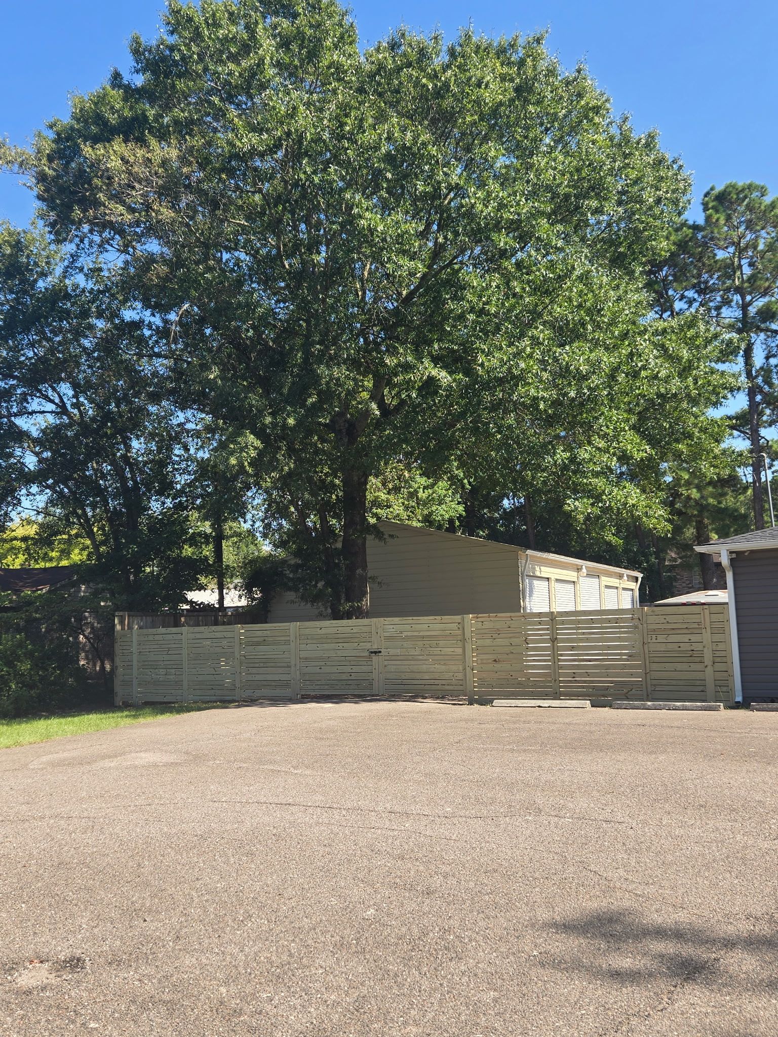 A gravel driveway leads to a wooden fence surrounding a building with a large tree.
