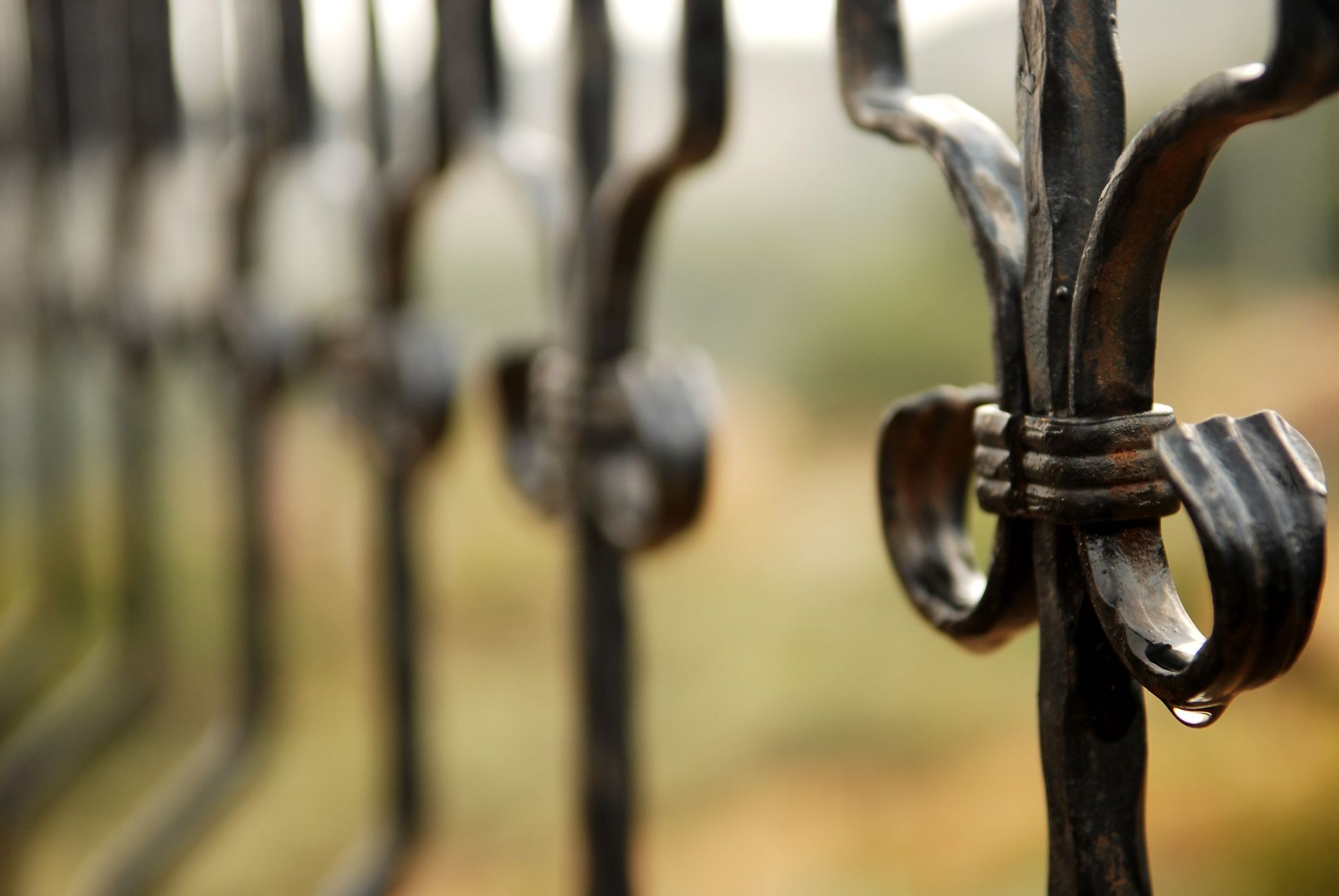 Close-up of a wrought-iron fence with a water droplet, blurred background of greenery.