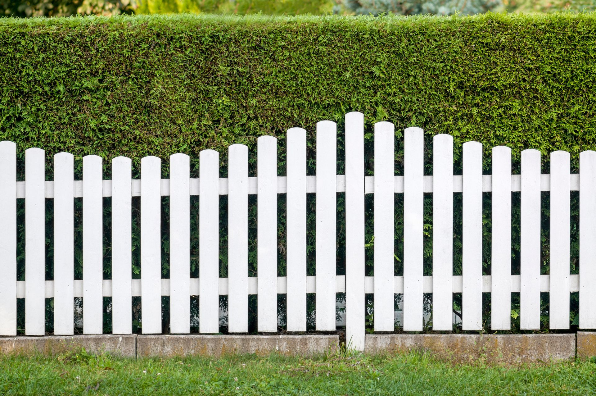 White picket fence in yard, representing quality services of a residential fence contractor. White picket fence in yard, representing quality services of a residential fence contractor.