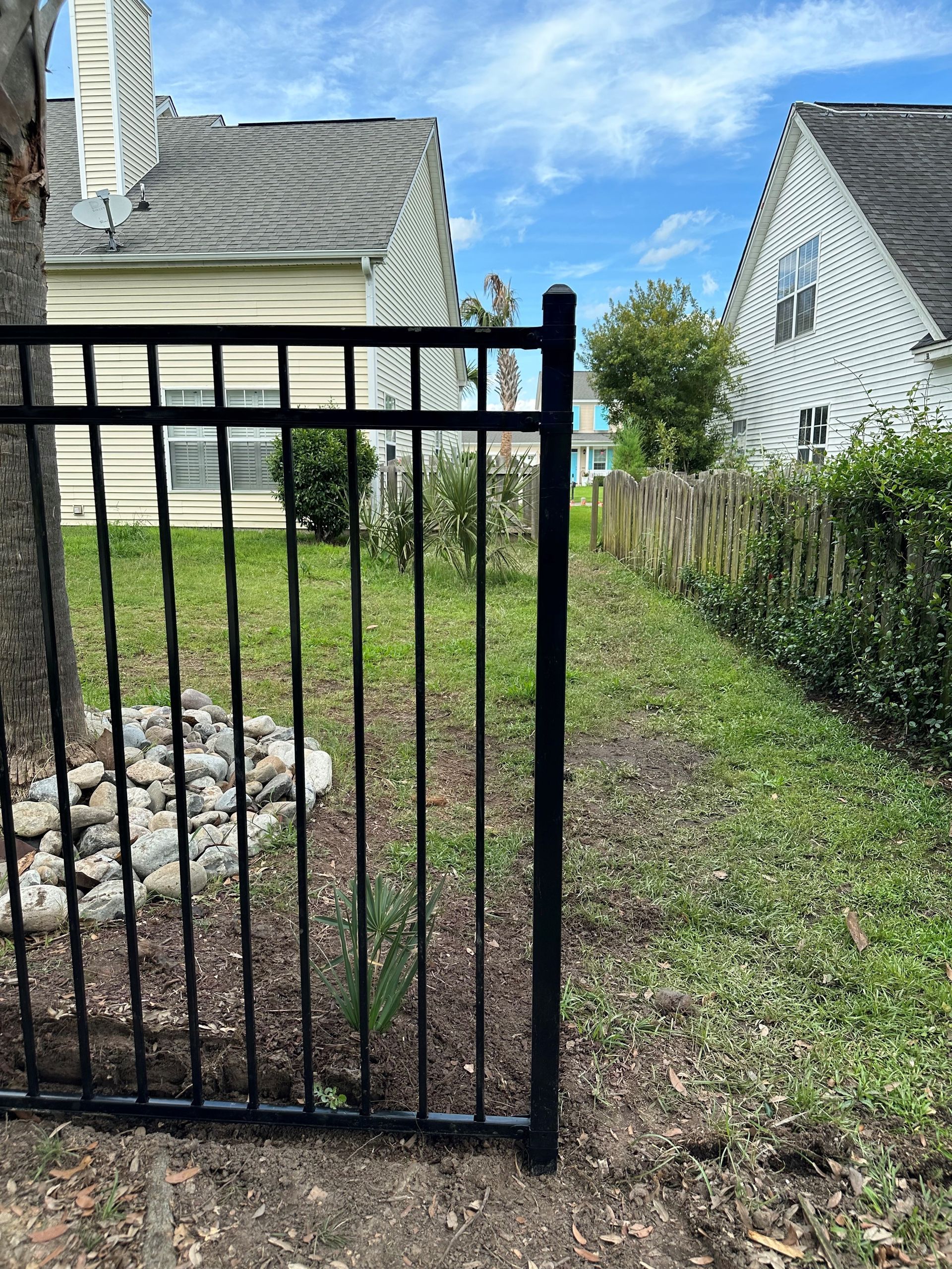 Black metal fence in a yard, leading to a wooden fence. Green grass and houses in the background.
