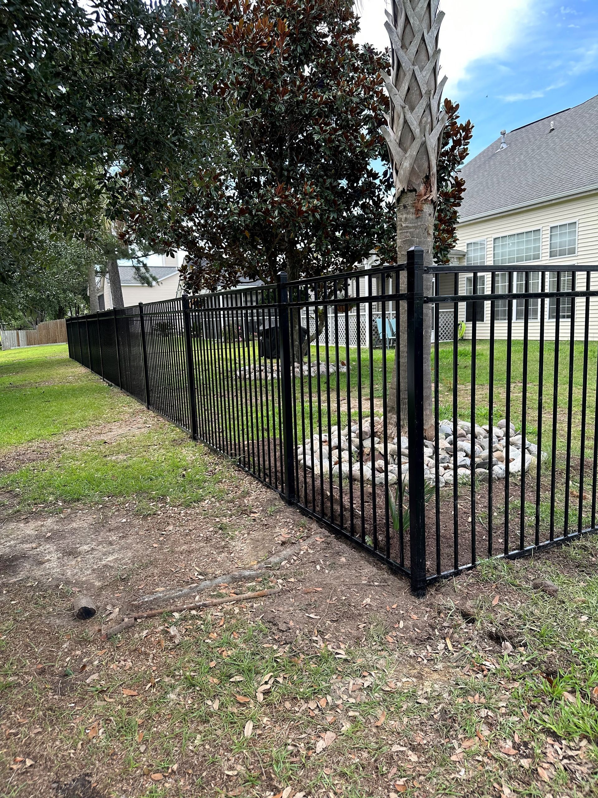 Black metal fence encloses a grassy yard. Trees and a house are in the background.