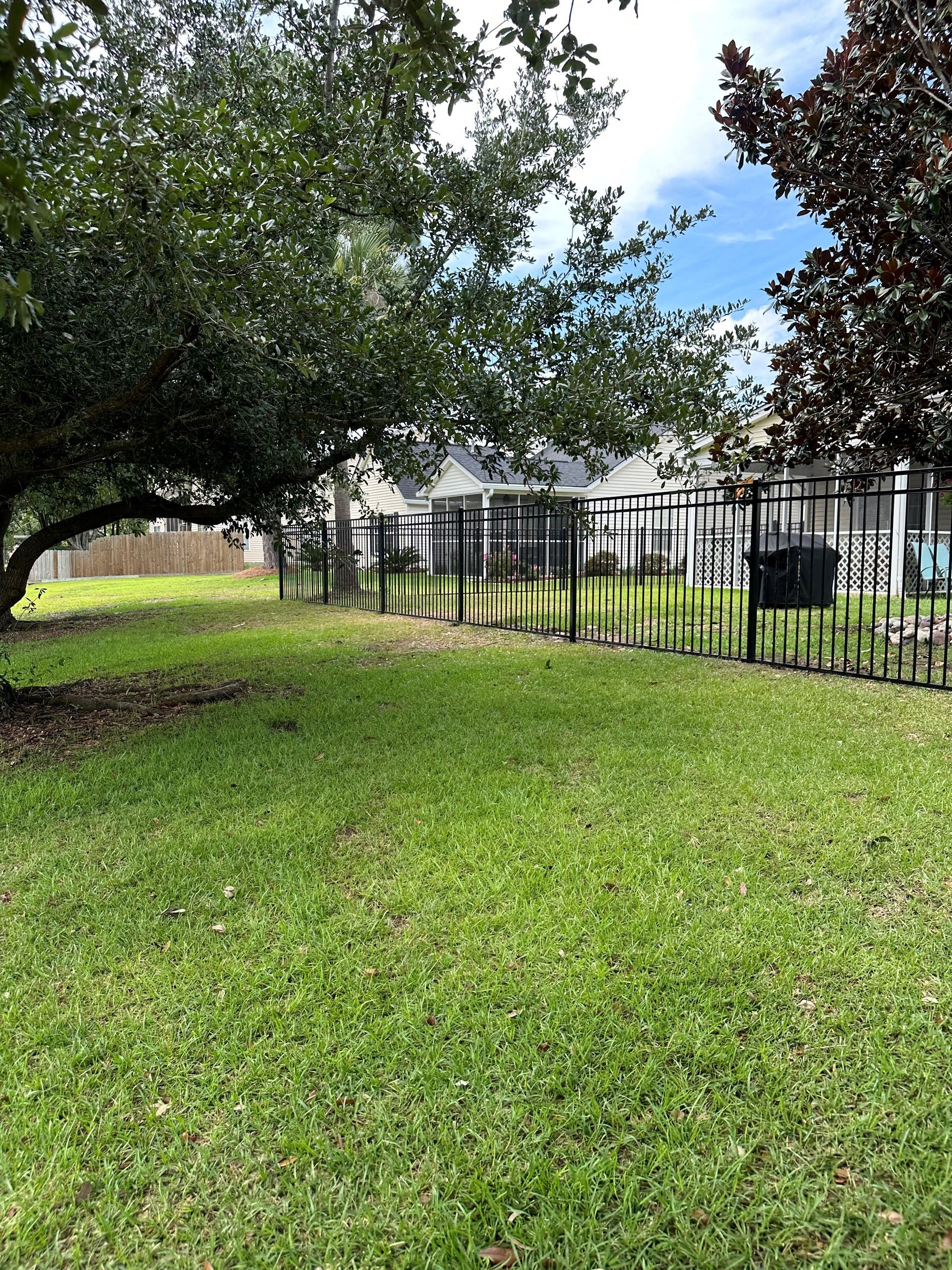 Green lawn with a black metal fence, trees, and a house in the background.