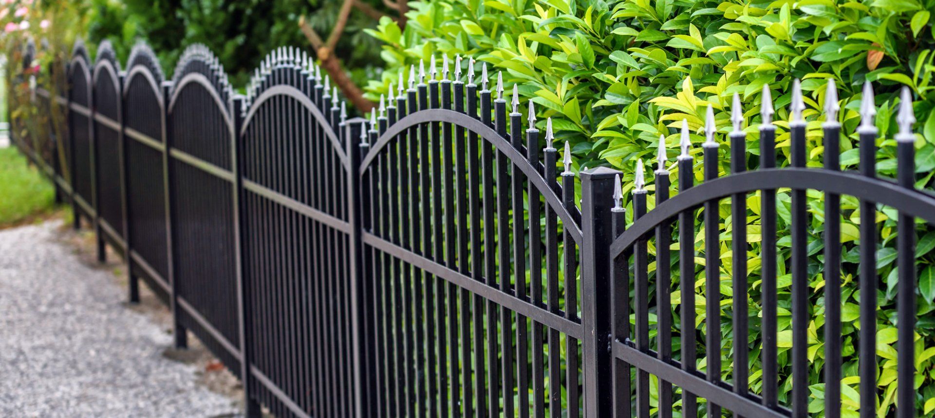 Black wrought iron fence with decorative arched tops, set against a green hedge, with a stone path.