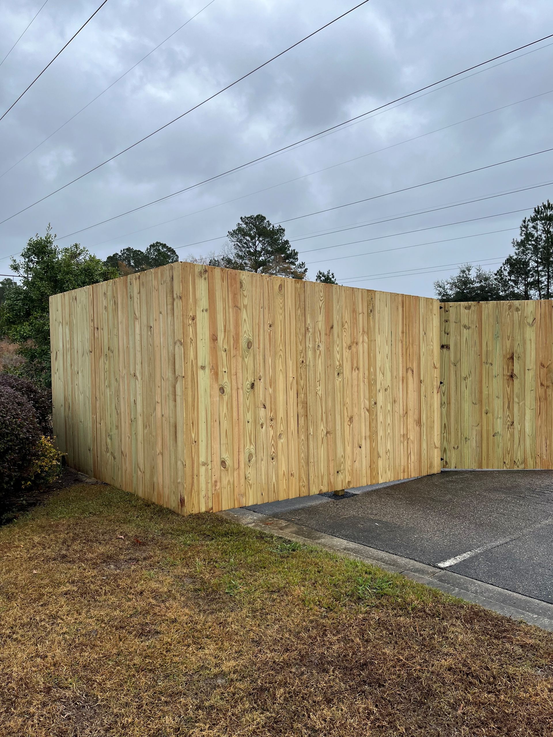 A wooden privacy fence in a yard, grey sky above.