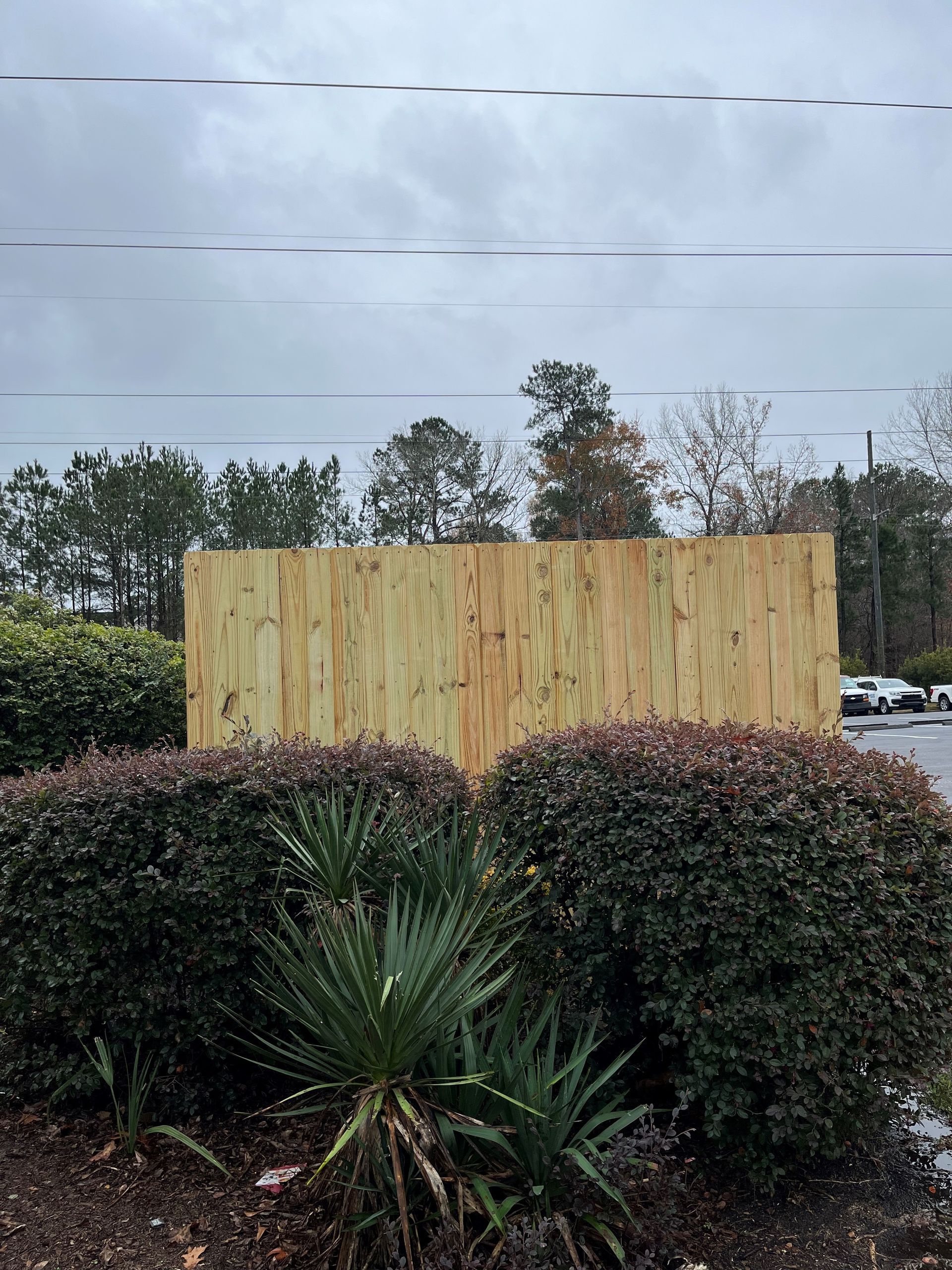 Wooden plywood barrier in front of shrubbery on an overcast day.
