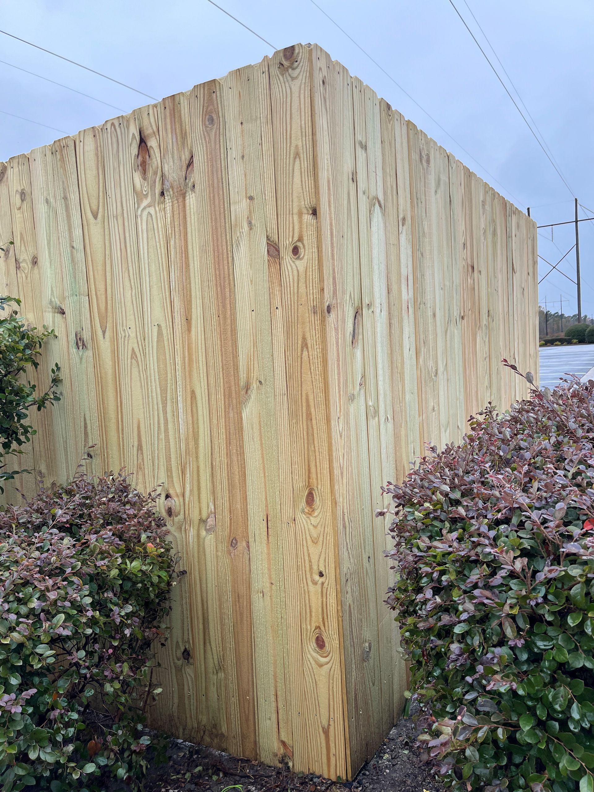 Wooden fence corner stands tall near trimmed bushes, overcast sky overhead.