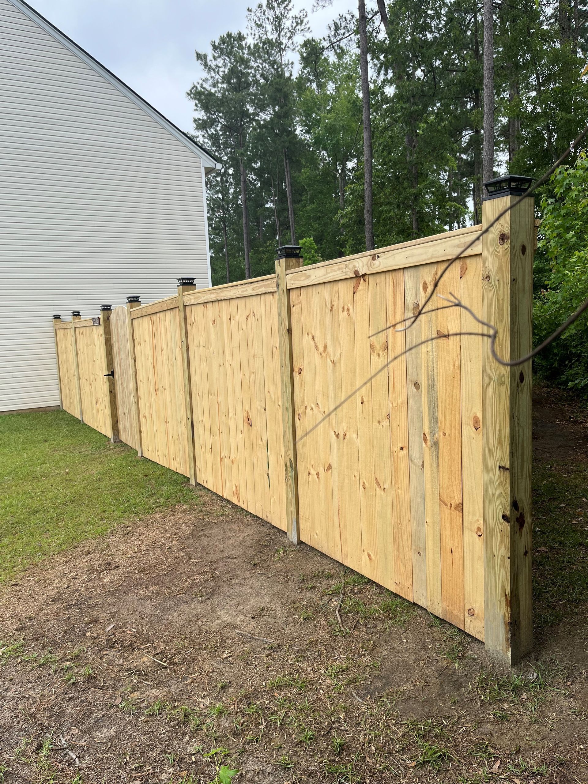 Wooden privacy fence in a grassy yard, with a light-colored wood finish and black post caps.