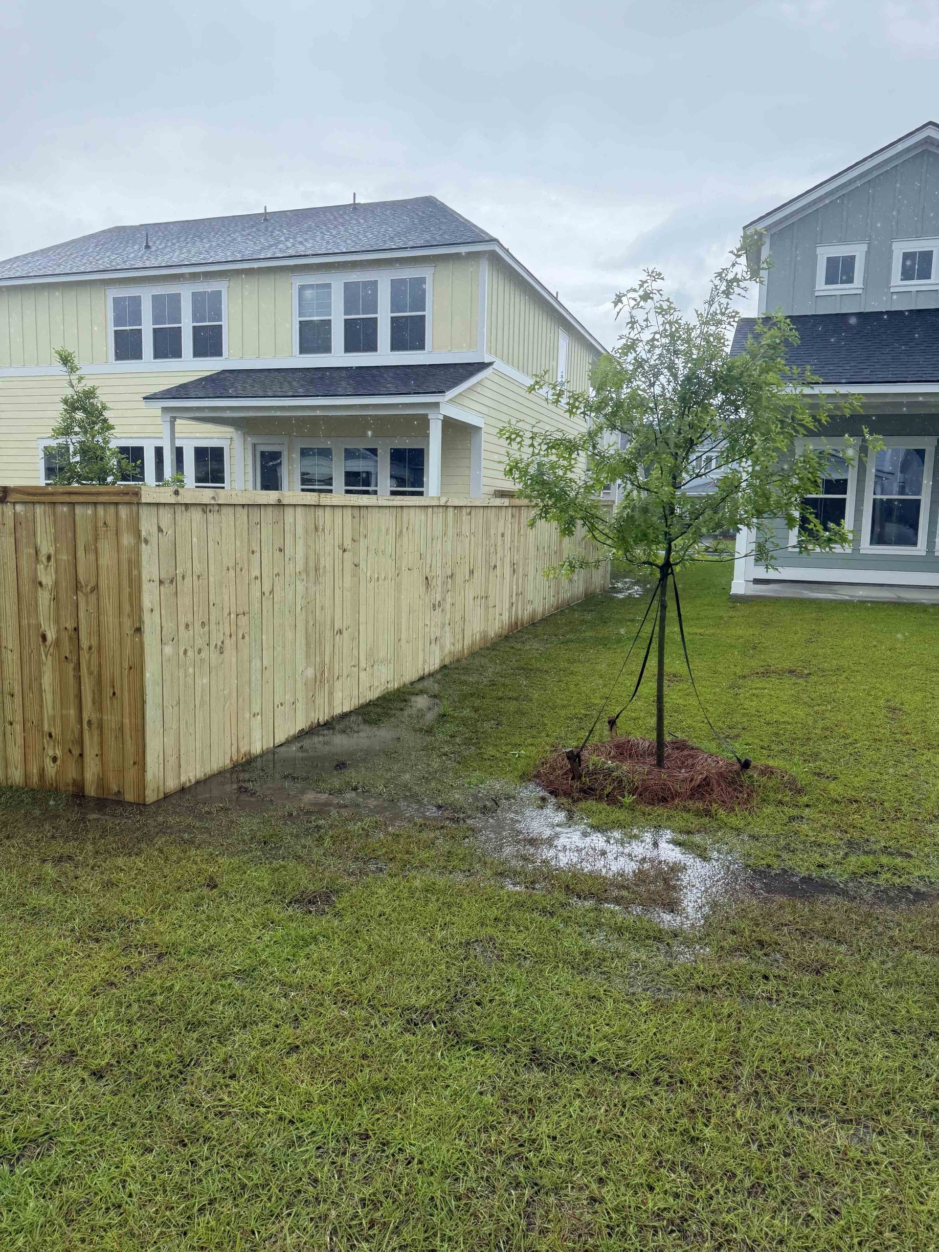 Backyard with wet grass, a young tree, wooden fence, and houses under cloudy skies