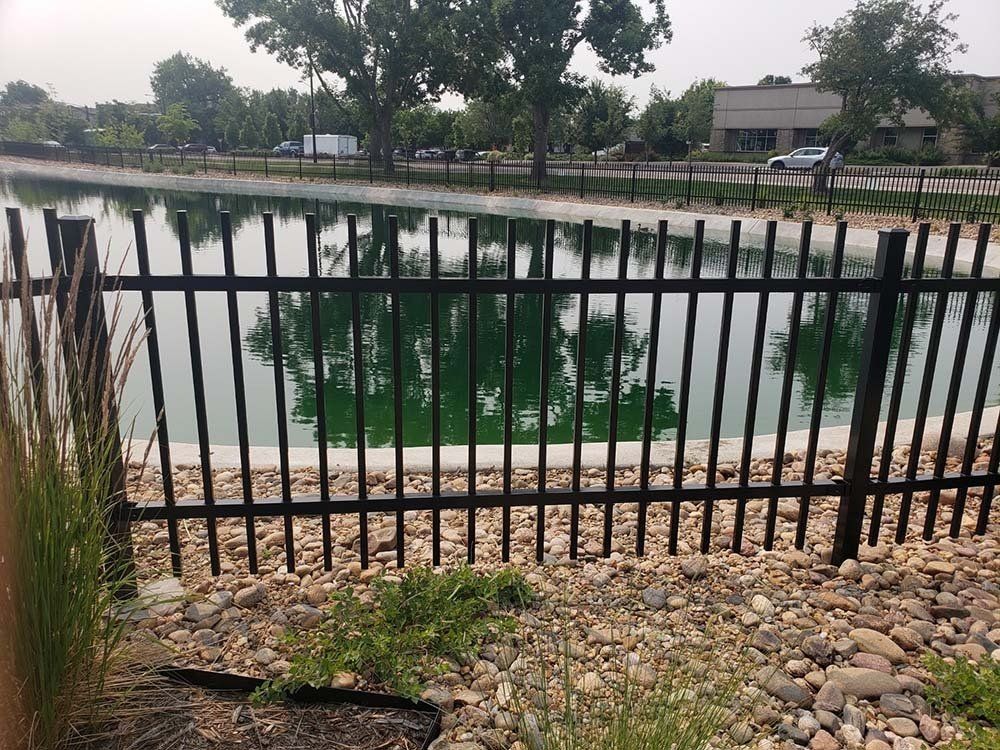Black metal fence in front of green-tinged water, with trees and buildings in the background.