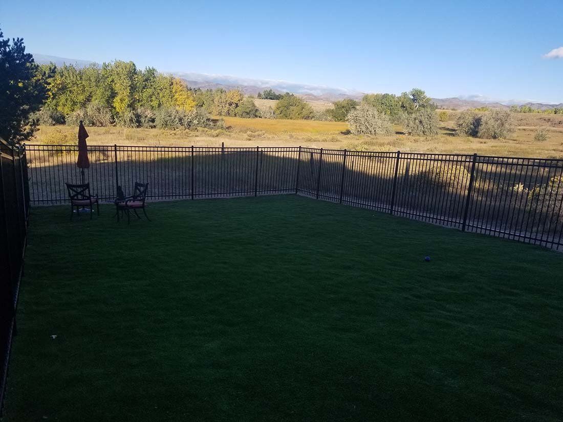 Green lawn enclosed by black fence, with trees and mountains in the background under a blue sky.