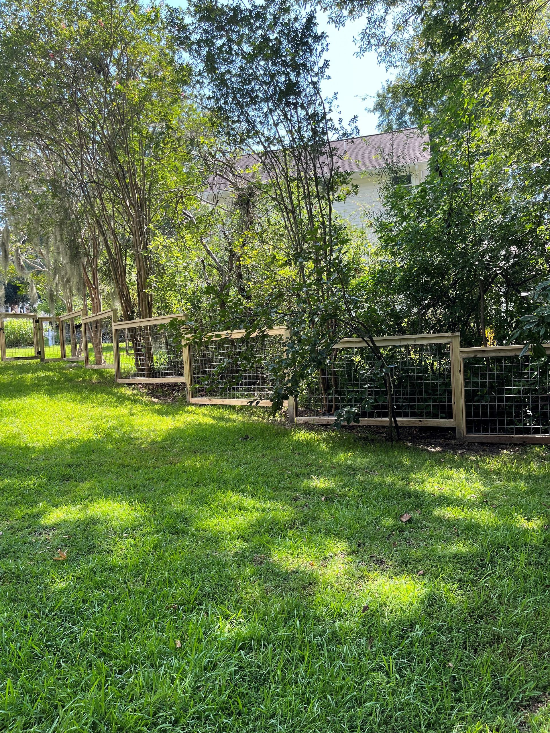 Lush green yard with a wooden framed fence. Trees provide shade on a sunny day. A house is visible in the background.