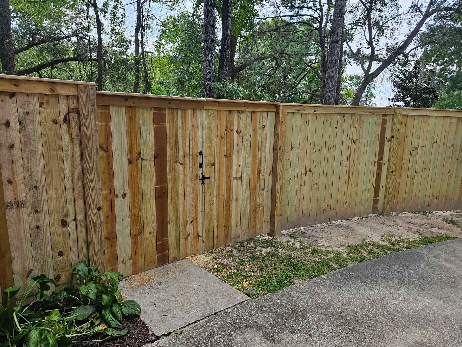 Wooden fence with gate; light brown wood, trees in background, concrete path.