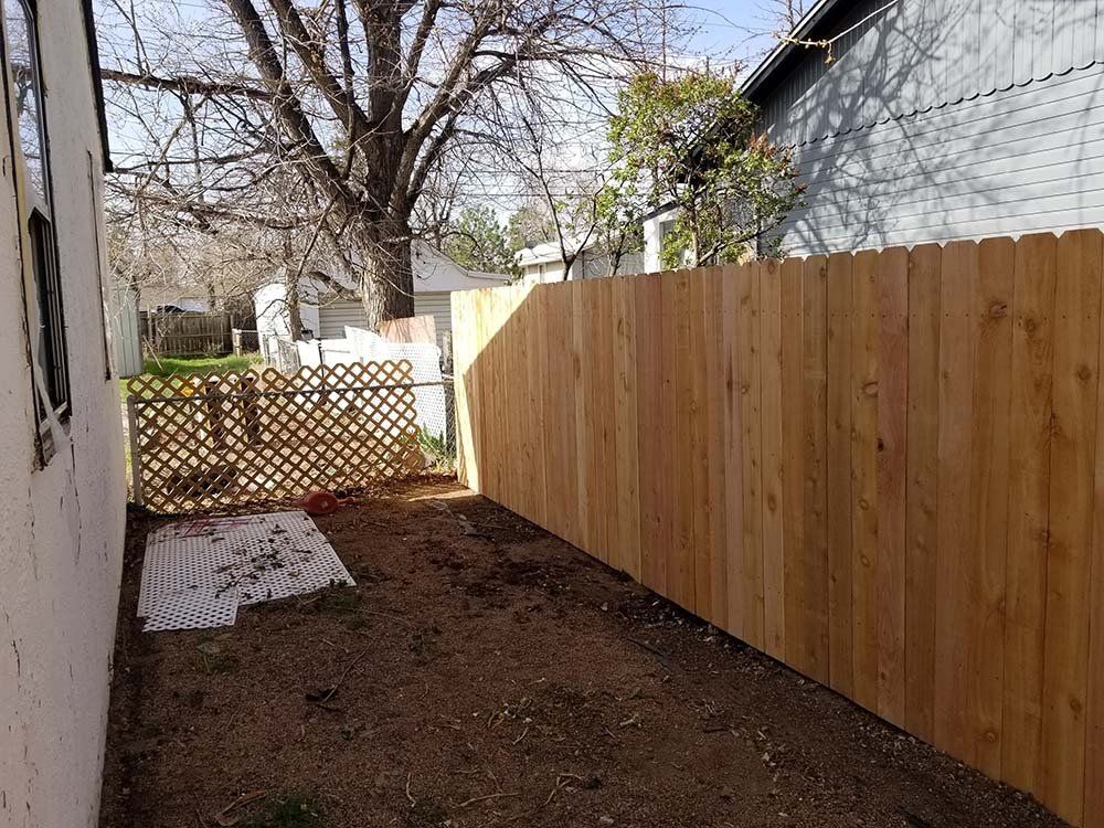 Backyard with wooden fence and gate; dirt ground.