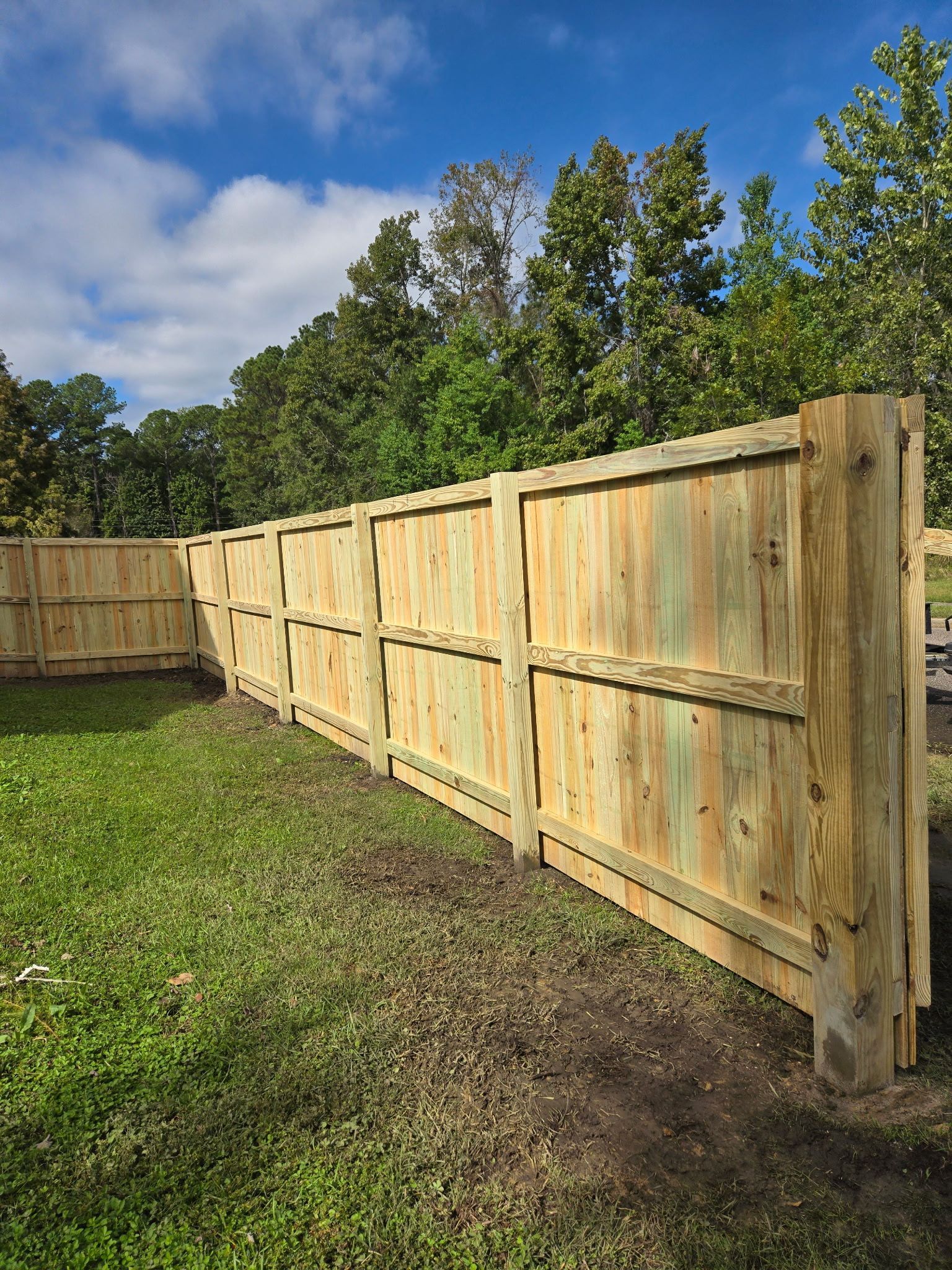 Wooden fence in a grassy yard, under a blue sky with trees in the background.