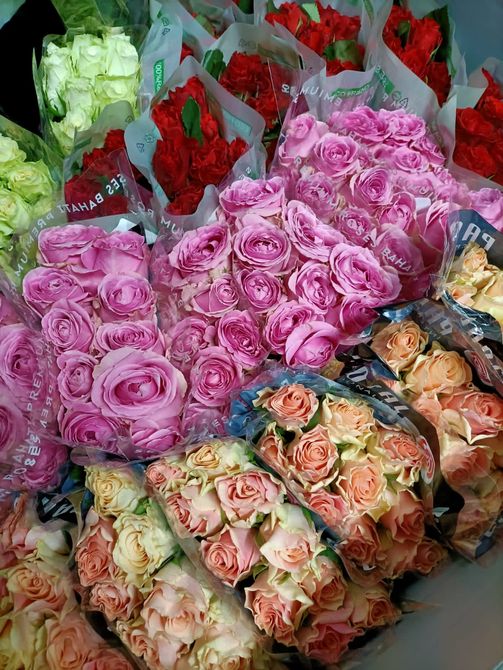 selezione di fiori