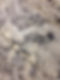 cream delicitus granite