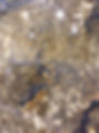 sunflower granite