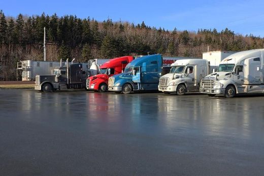 Camion semirimorchio parcheggiati, rossi, blu e bianchi, allineati su un terreno bagnato vicino agli alberi.