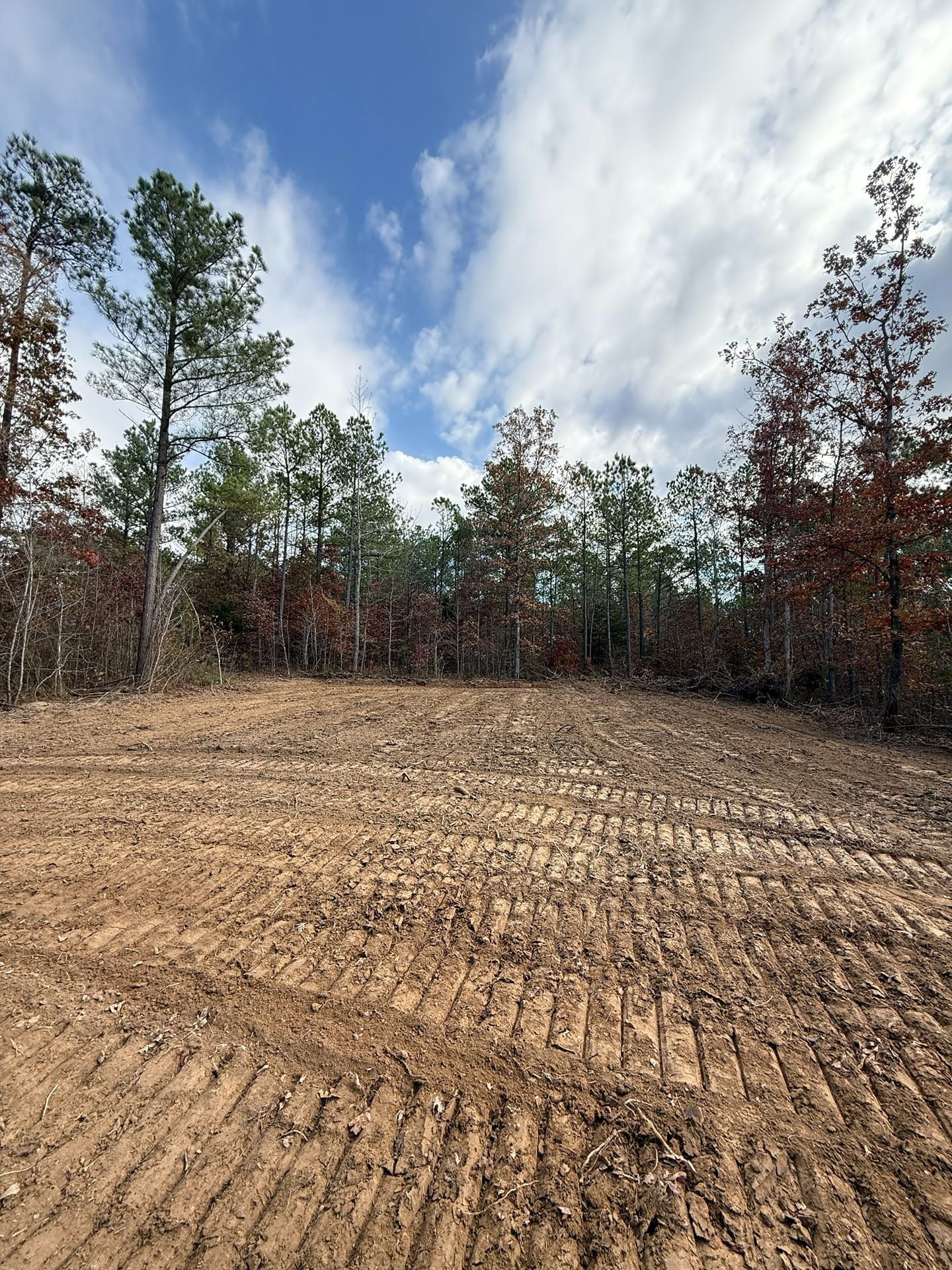 A cleared, graded plot of land with tire tracks in the dirt, bordered by a dense forest under a blue, cloudy sky.