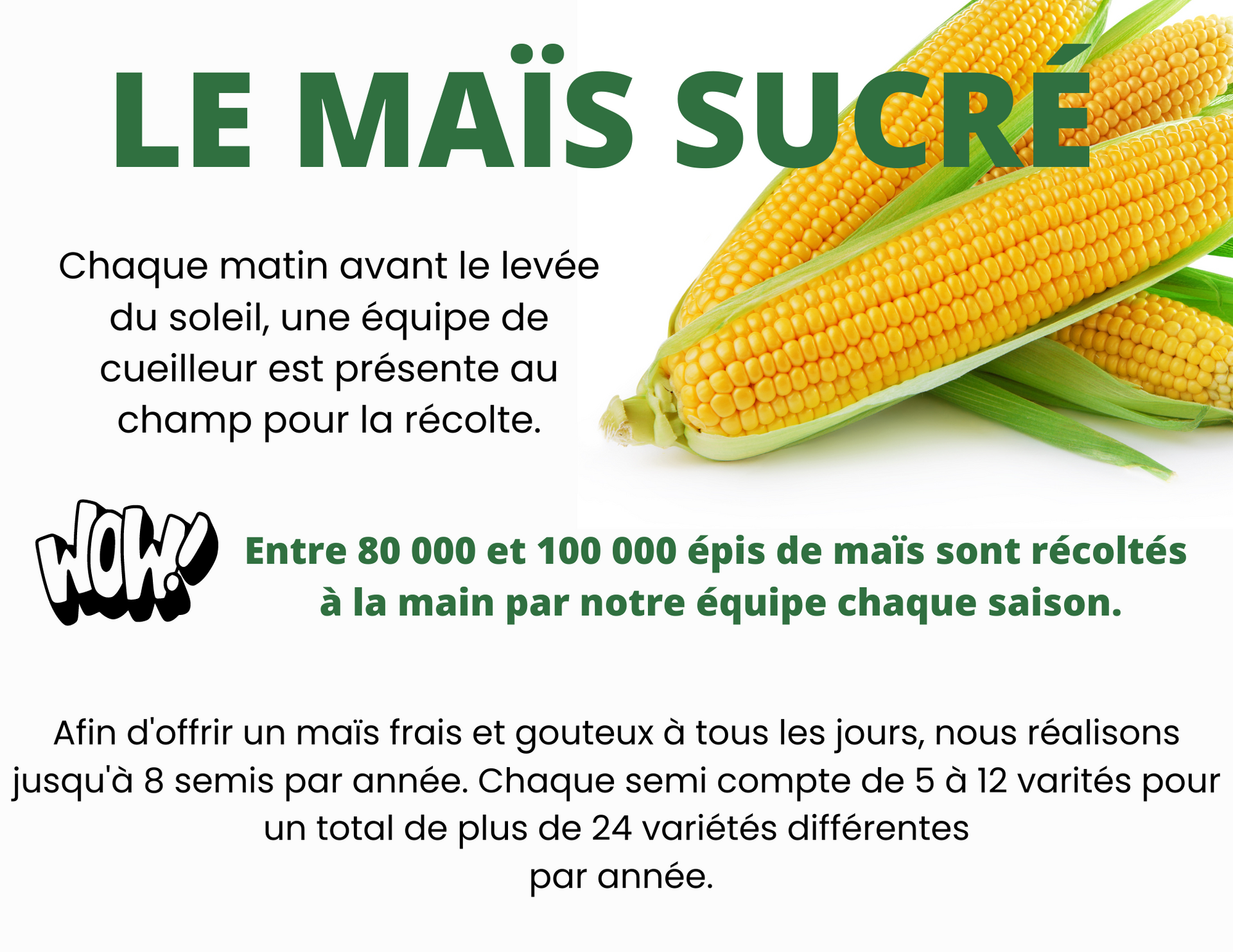 Ferme Gadbois quiz