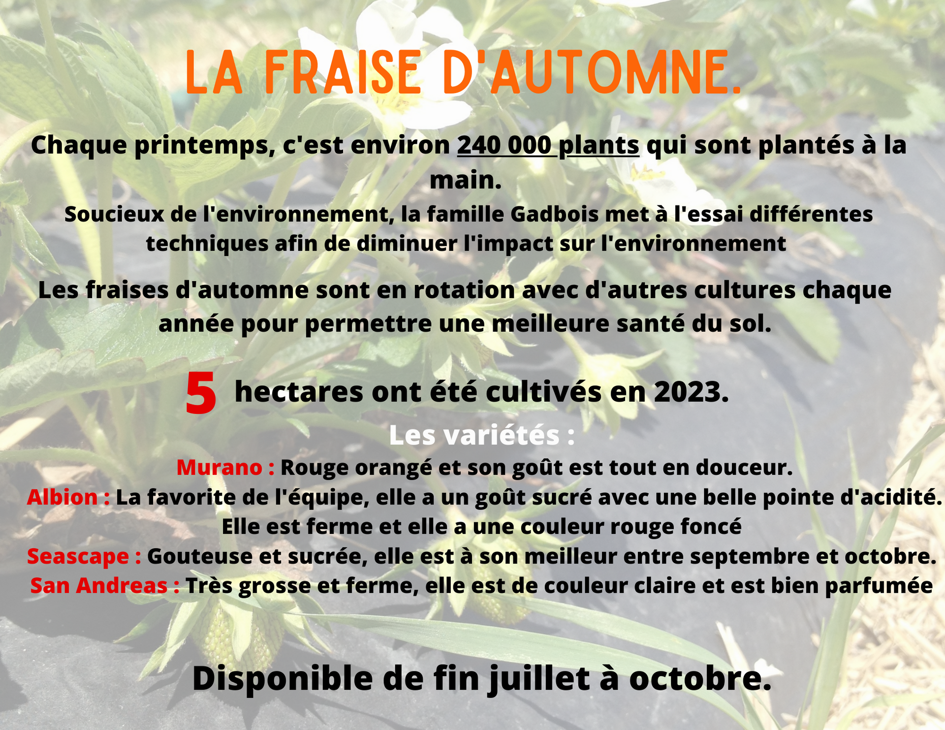 Ferme Gadbois quiz