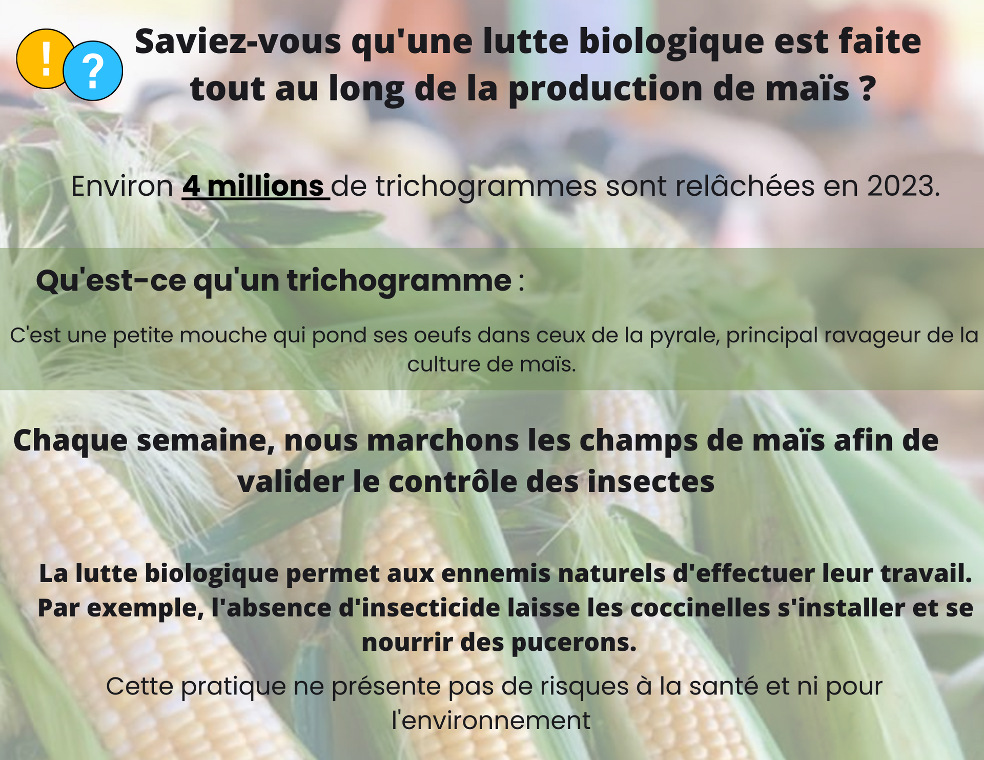 Ferme Gadbois Quiz